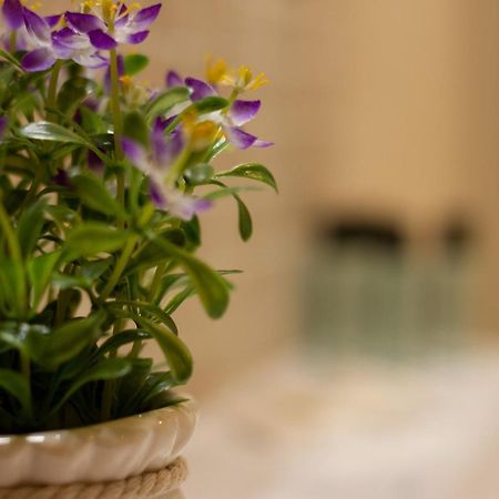 Suite Corallo - Smart Holiday Mantua Dış mekan fotoğraf